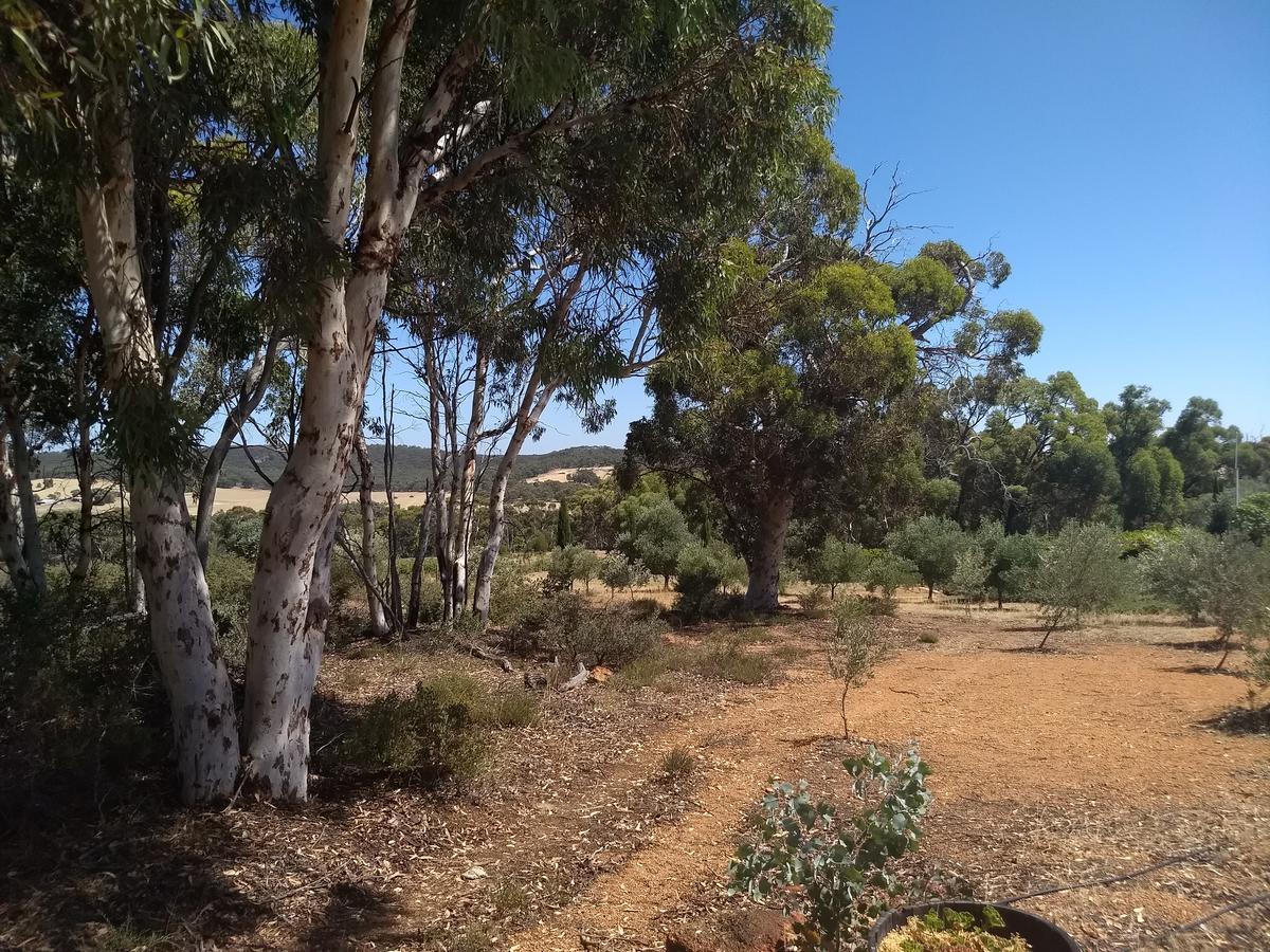 Villa Hotham Ridge Estate Wandering Esterno foto